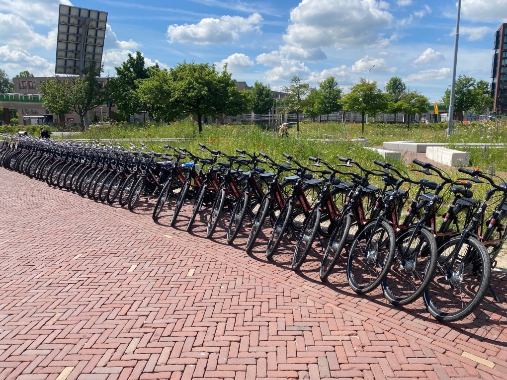 Rij stadsfietsen en e-bikes klaargezet voor groepsverhuur op locatie in Nederland